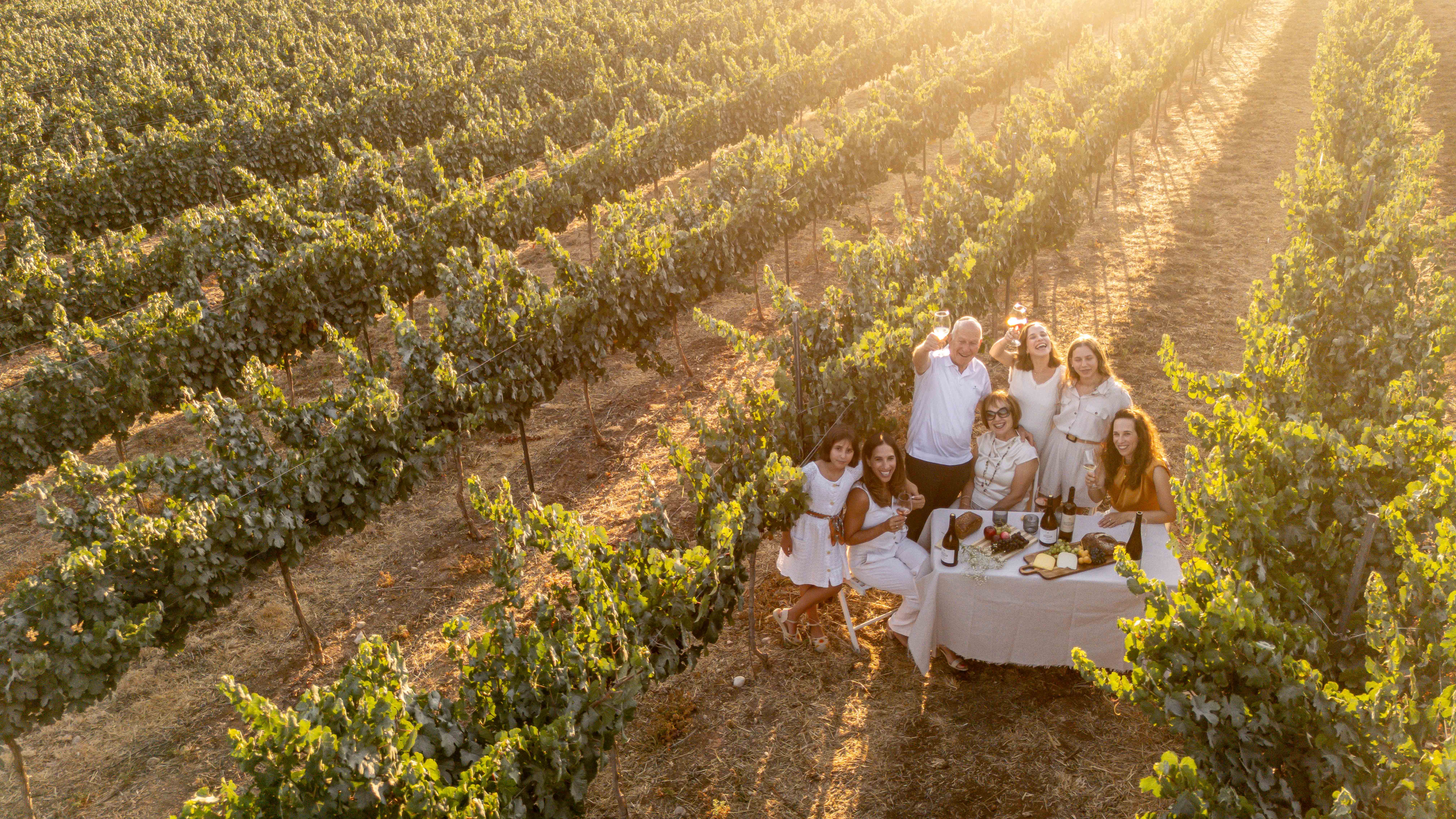 Teperberg uncorks new premium wine series